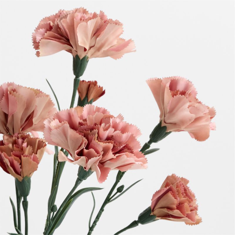 Faux Rust Carnation Bundle 29" - image 1 of 4