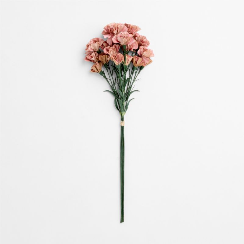 Faux Rust Carnation Bundle 29" - image 2 of 4
