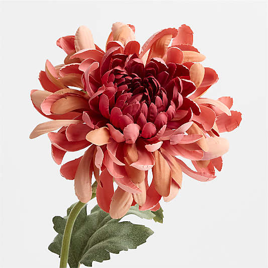 Faux Salmon Spider Mum Bundle 29"