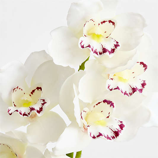 Faux White Orchid Stem 41"