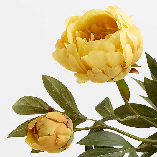 Faux Yellow Peony Spray 24"