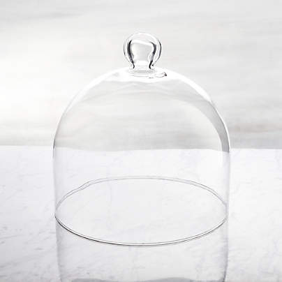 Glass Dome