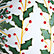Glitter Holly
