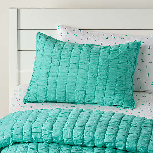 Pretty Prints Mint Quilted Sham