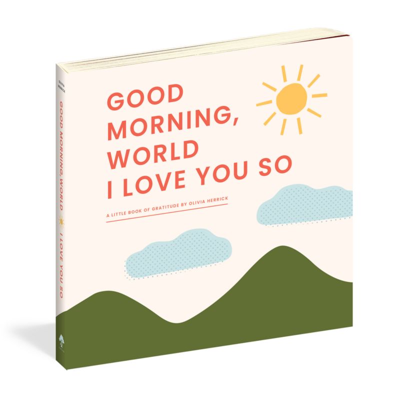 Good Morning, World - I Love You So Kids Board Book by Olivia Herrick - image 1 of 5