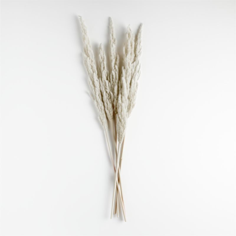 Grass Plume Dried Botanical Bunch - image 0 of 8