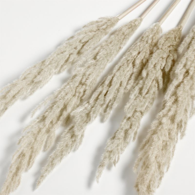 Grass Plume Dried Botanical Bunch - image 4 of 8