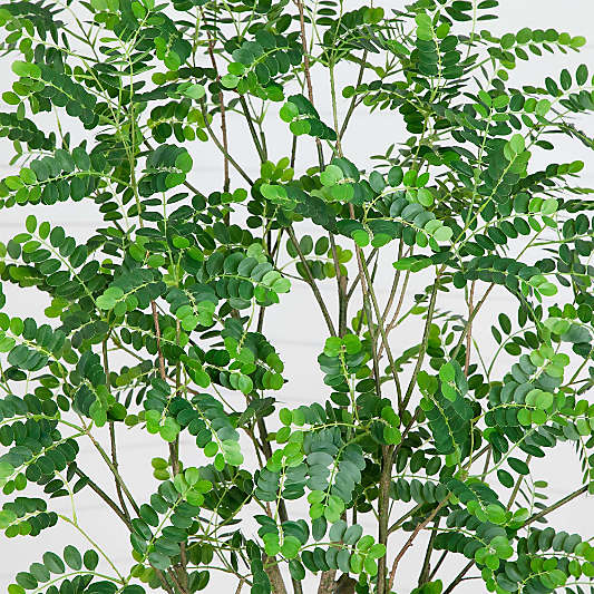 Faux Greco Citrus Tree 7'