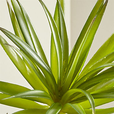 View Faux Green Yucca Succulent Stem details