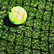 Grass Court