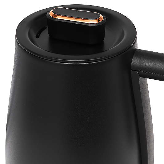 HADEN Gooseneck Black Electric Tea Kettle