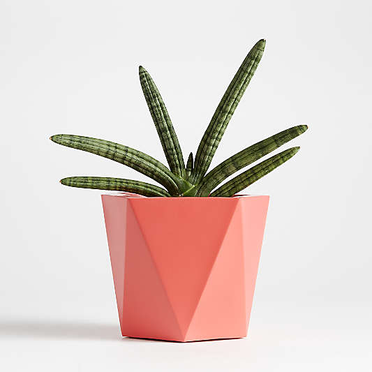 Haeden Small Coral Planter