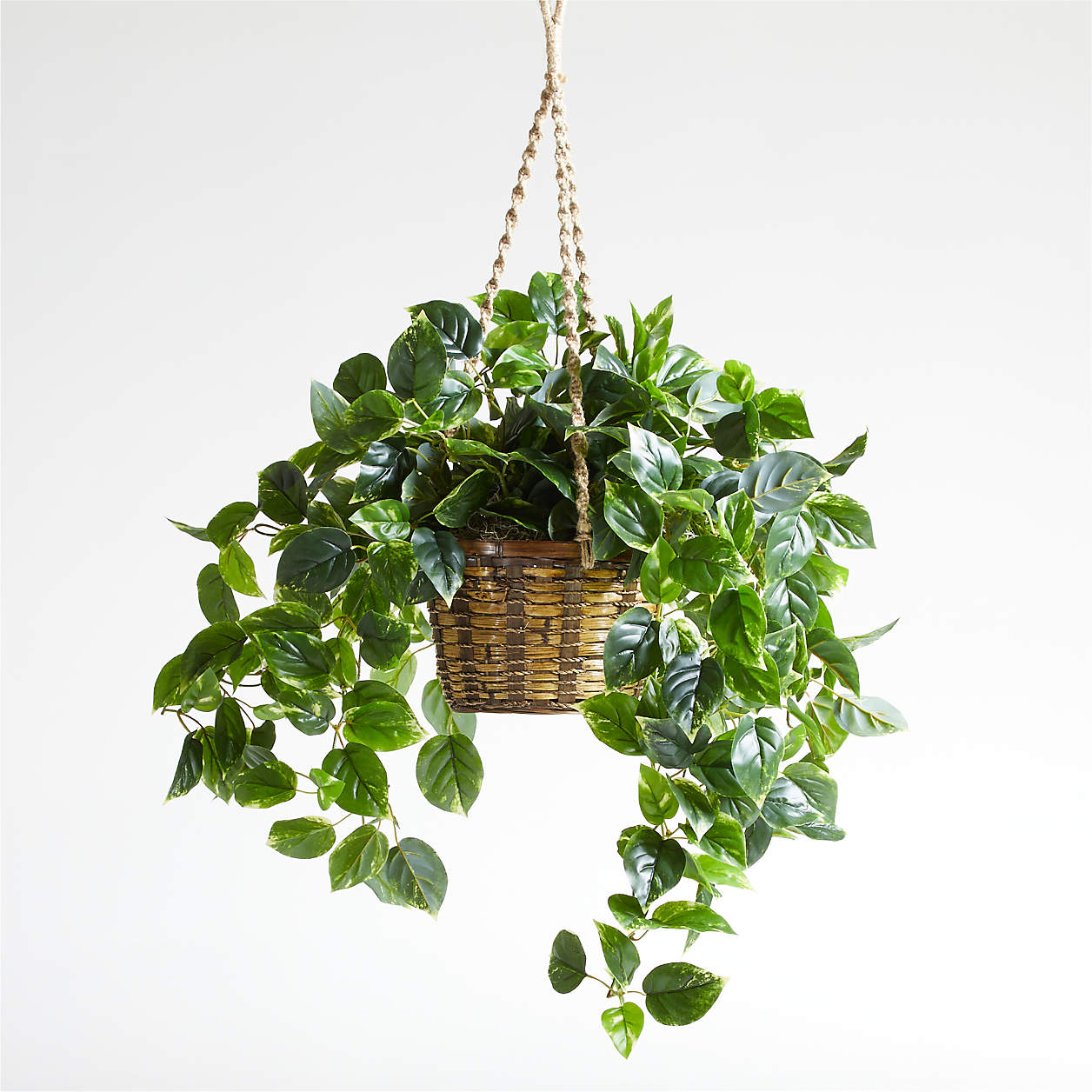 Hanging Faux Pothos Plant with Basket Crate & Barrel