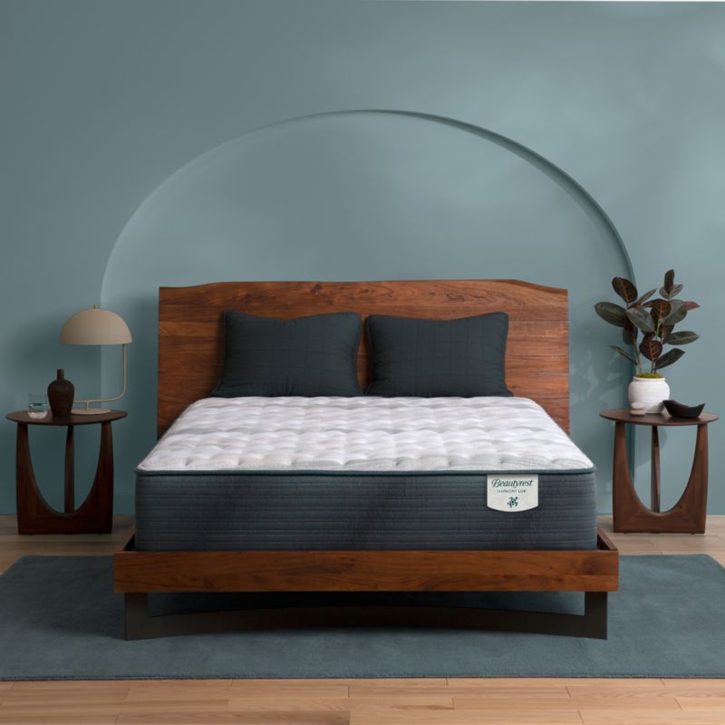 Beautyrest Harmony Lux Anchor Island Firm Queen Mattress - image 1 of 5