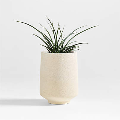 Havana White Footed Indoor/Outdoor Planter 12"x16"