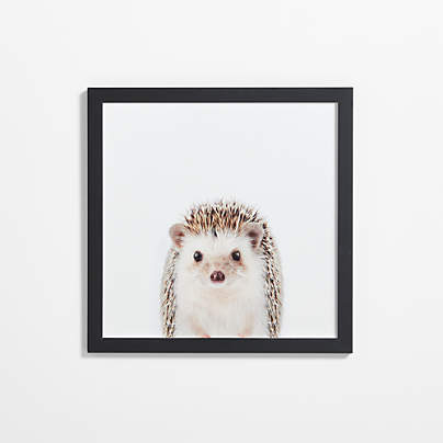 Baby Hedgehog Black Wood Framed Wall Art Print