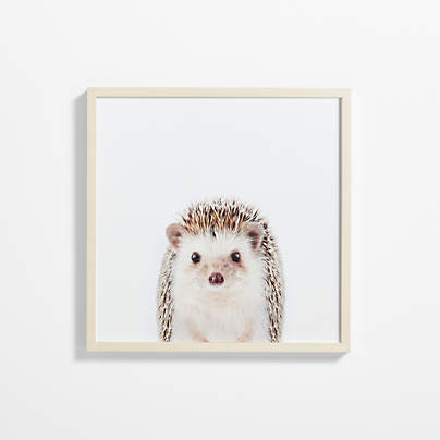 Baby Hedgehog Maple Wood Framed Wall Art Print