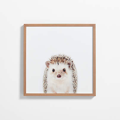 Baby Hedgehog Walnut Wood Framed Wall Art Print