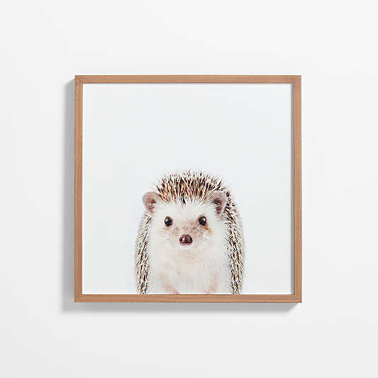 Baby Hedgehog Walnut Wood Framed Wall Art Print