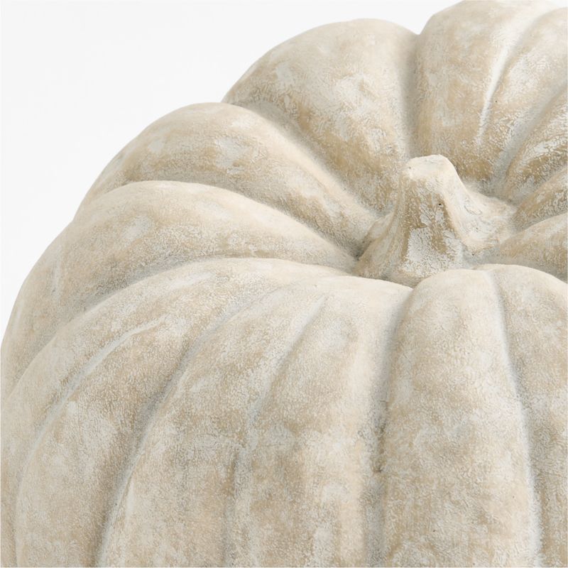 Heirloom Outdoor Large White Pumpkin - image 5 of 6