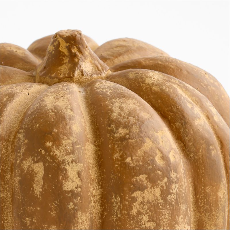 Heirloom Outdoor Small Auburn Pumpkin - image 5 of 6