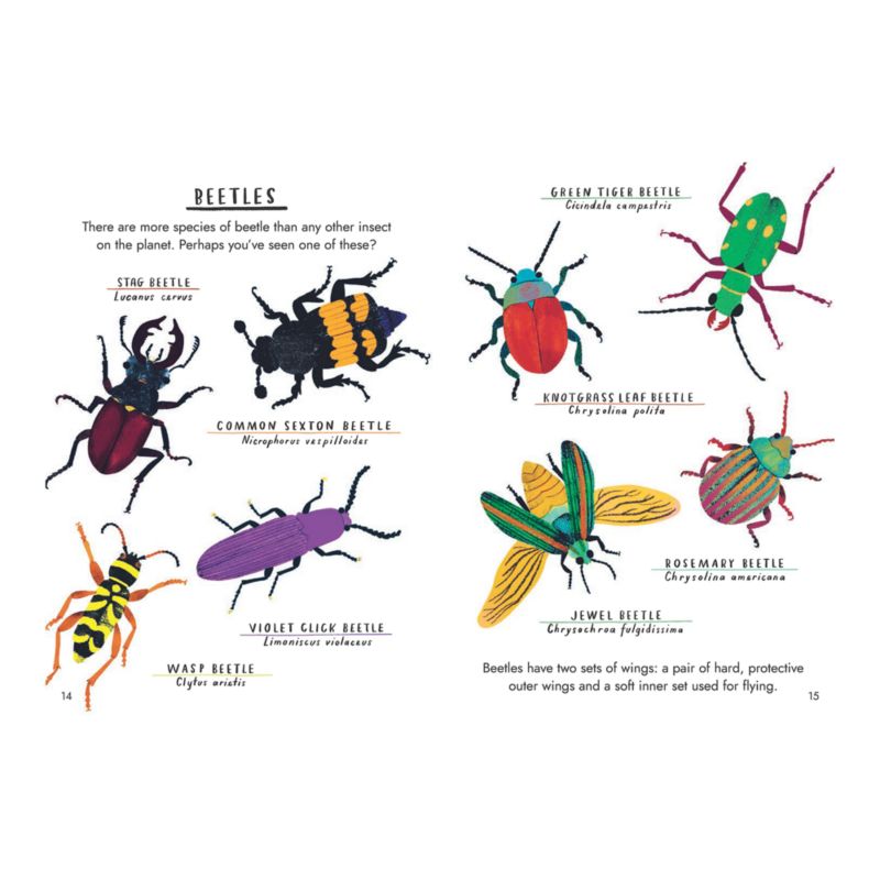 Hello Bugs Kids Book by Nina Chakrabarti - image 2 of 4