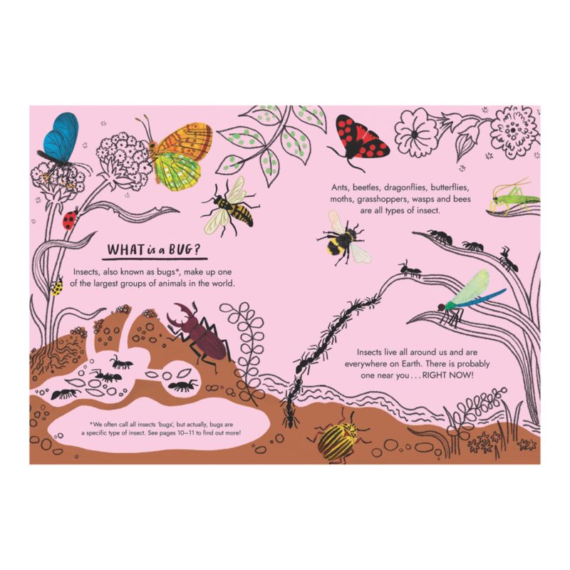 Hello Bugs Kids Book by Nina Chakrabarti - image 1 of 4