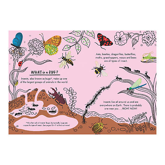 Hello Bugs Kids Book by Nina Chakrabarti