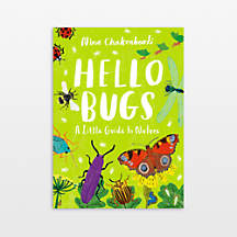 Hello Bugs Kids Book by Nina Chakrabarti | Crate & Kids