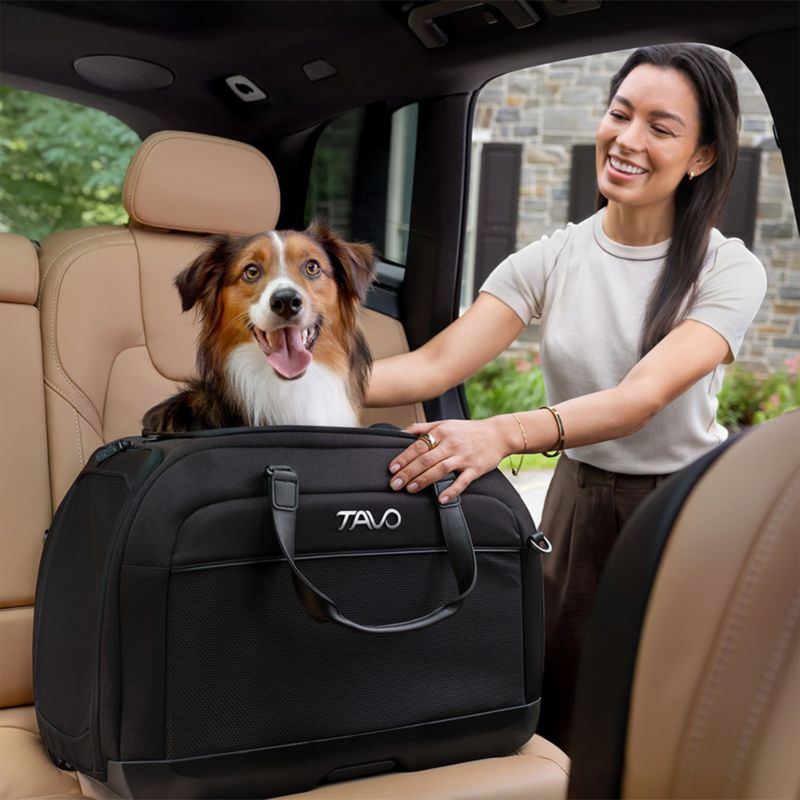 Hendrick Pet Car Seat and Flexible Carrier in Onyx - image 4 of 9