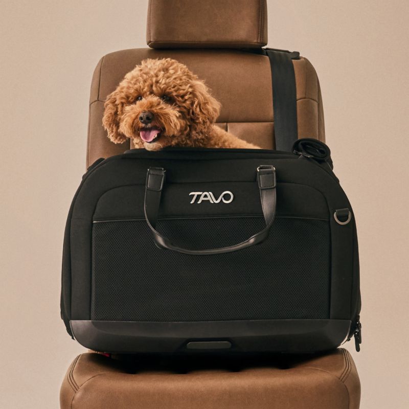 Hendrick Pet Car Seat and Flexible Carrier in Onyx - image 2 of 9