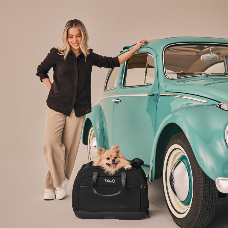 Hendrick Pet Car Seat and Flexible Carrier in Onyx - image 5 of 9