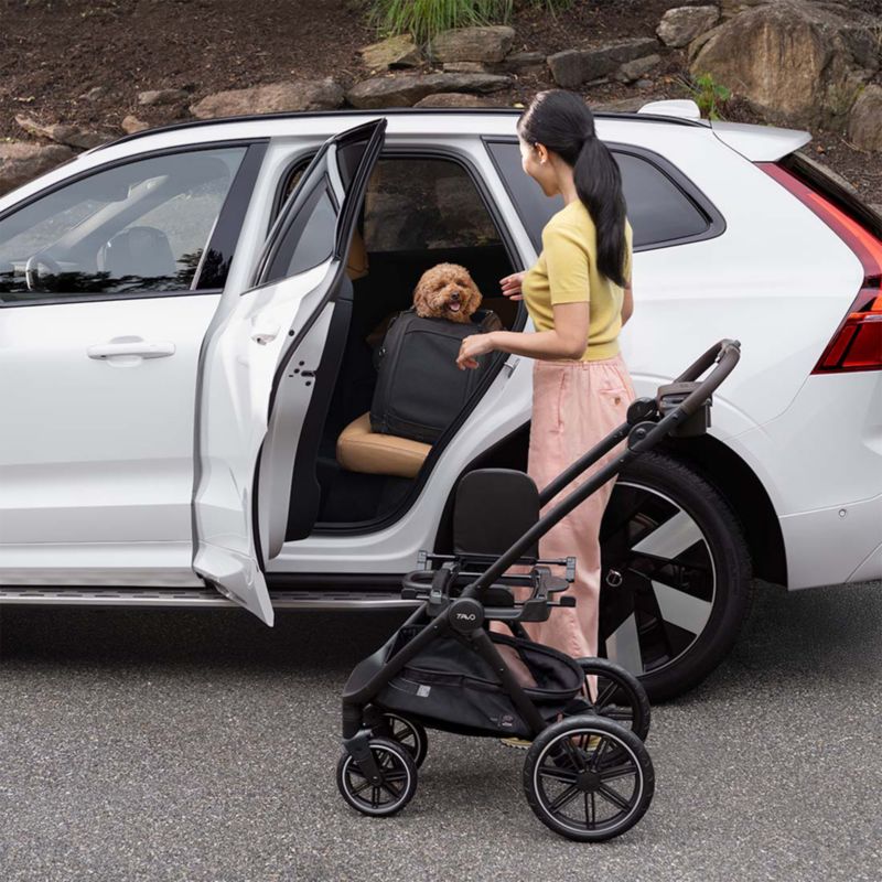 Hendrick Pet Car Seat + Stroller Travel System in Tawny - image 5 of 8