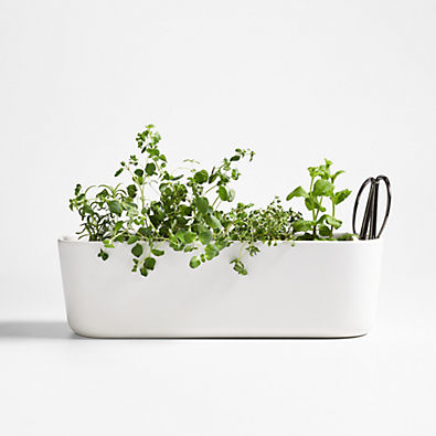 View Indoor/Outdoor Herb Planter with Scissors details