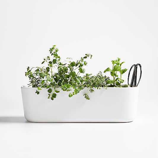 Indoor/Outdoor Herb Planter with Scissors