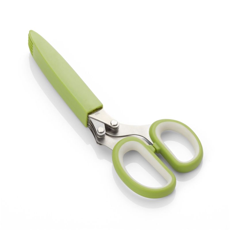 WE-SAVOUR Herb Scissors with 5 blades - Herb Cutter - Herb Chopper -  Shredder Scissors - Herb Shears - Herb Cutting Scissors - Herb Mincer -  Cilantro Chopper - Cilantro Cutter - Fringe Scissors