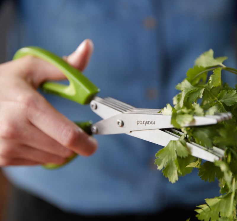 Scissors, 5 Blade Herb – The Convenient Kitchen