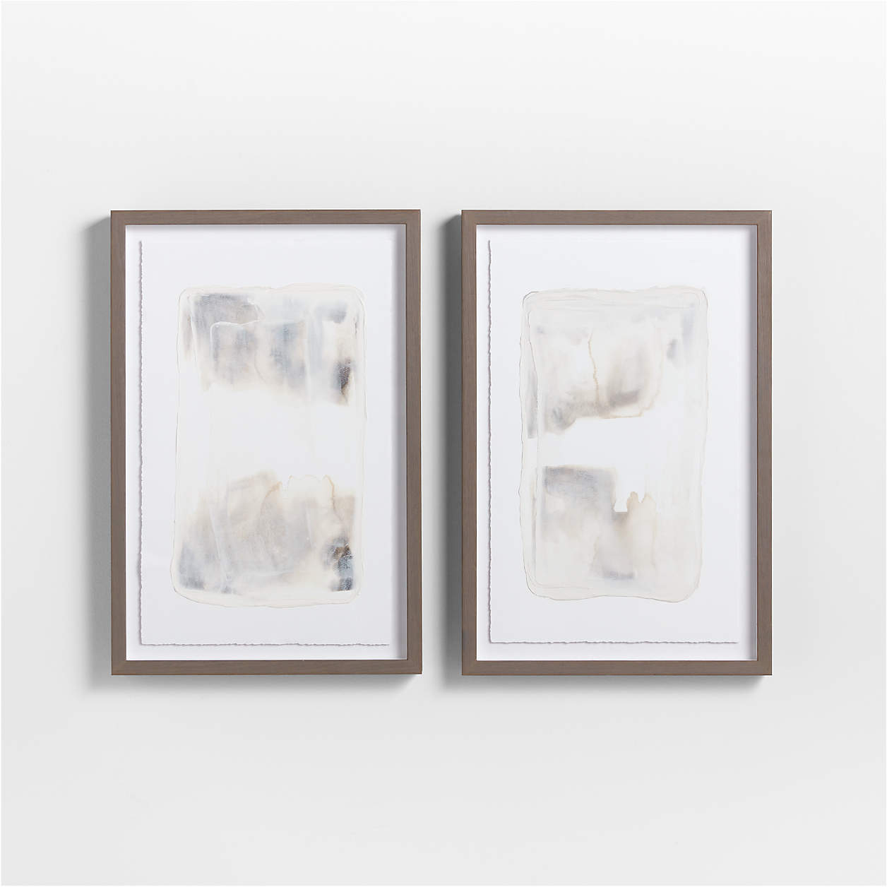 Hidden Gems I & II Wall Art Print Set | Crate & Barrel