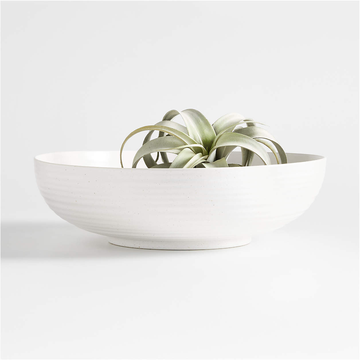 Holden Speckled White Decorative Bowl + Reviews Crate & Barrel