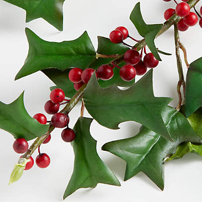 Our Essential Guide to Decorative Winter Berries (Plus A Few Imposters That  Are Dead Ringers) - Stylewatch -  Magazine