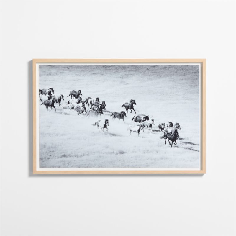 "Horse Herd" by Jennifer MaHarry 51"x34" Framed Photography Print - image 0 of 5