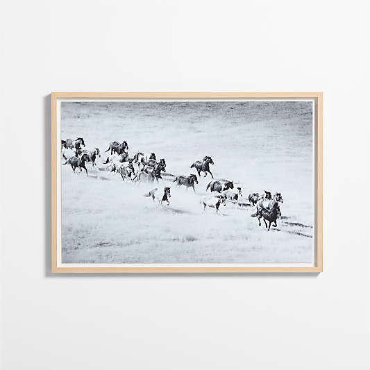 "Horse Herd" by Jennifer MaHarry 51"x34" Framed Photography Print