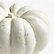 White, Large