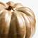 Caramel, Medium