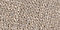 Clay Taupe
