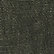 Ficus Green