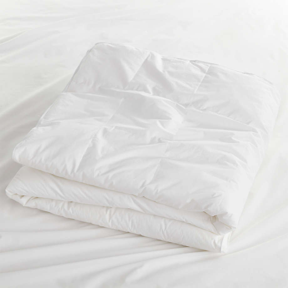 Hypoallergenic Heavyweight Duvet Inserts Crate & Barrel