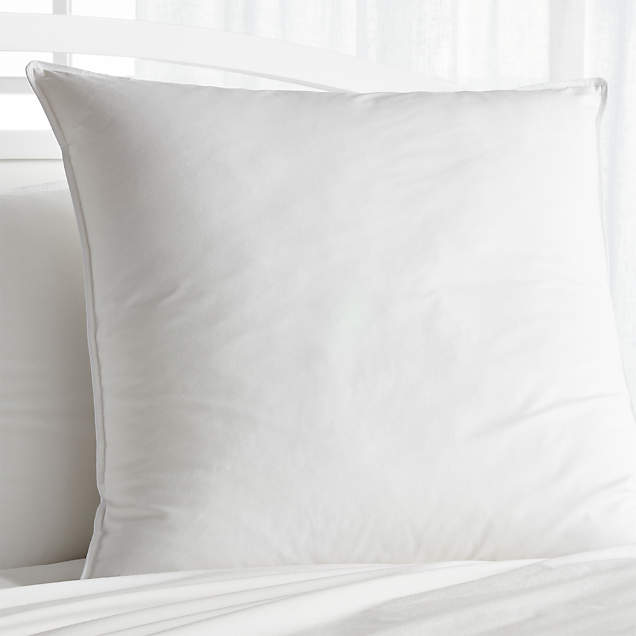 Juliet Birch Velvet Euro Sham + Reviews Crate & Barrel