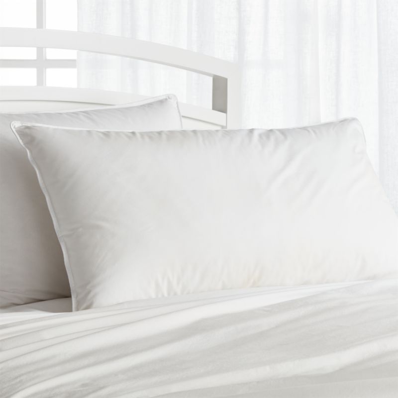 Hypoallergenic Medium King Duvet Insert