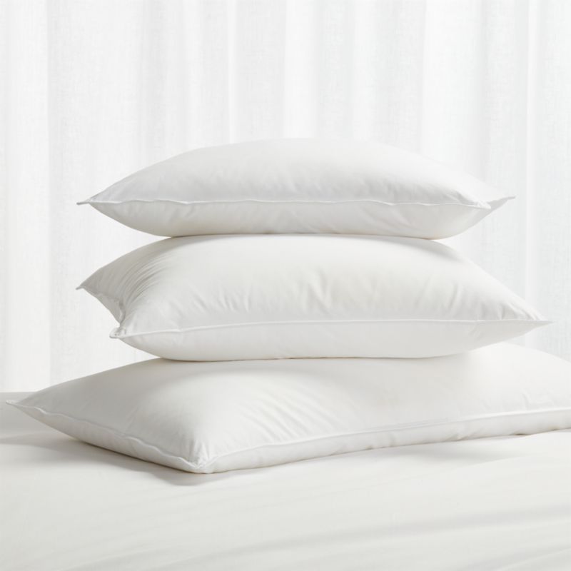 Hypoallergenic throw pillows best sale